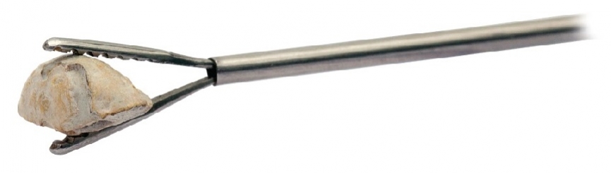 Pinca Rigida Bidente para Percutanea 9Fr x 360mm
